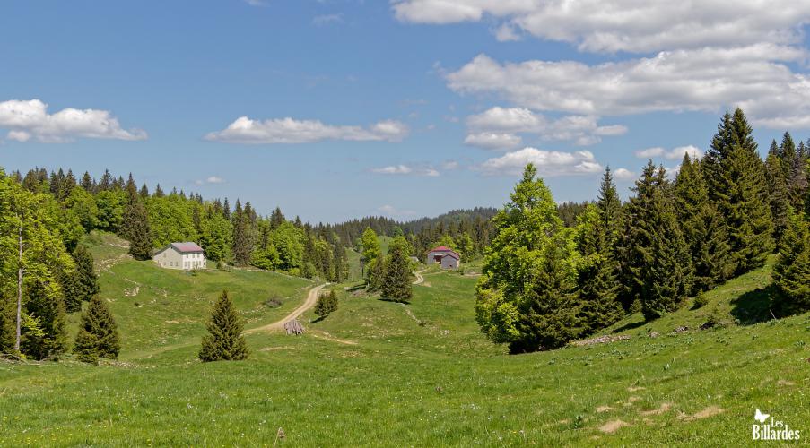 Combe du Haut-Jura