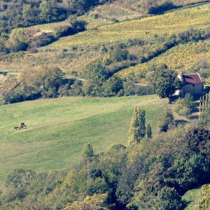 La vallée de Gizia en automne